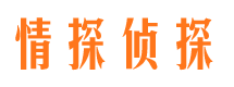 芦淞市侦探调查公司